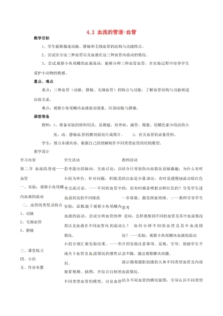 福建省沙县第六中学七年级生物下册 4.2 血流的管道-血管教案 （新版）新人教版