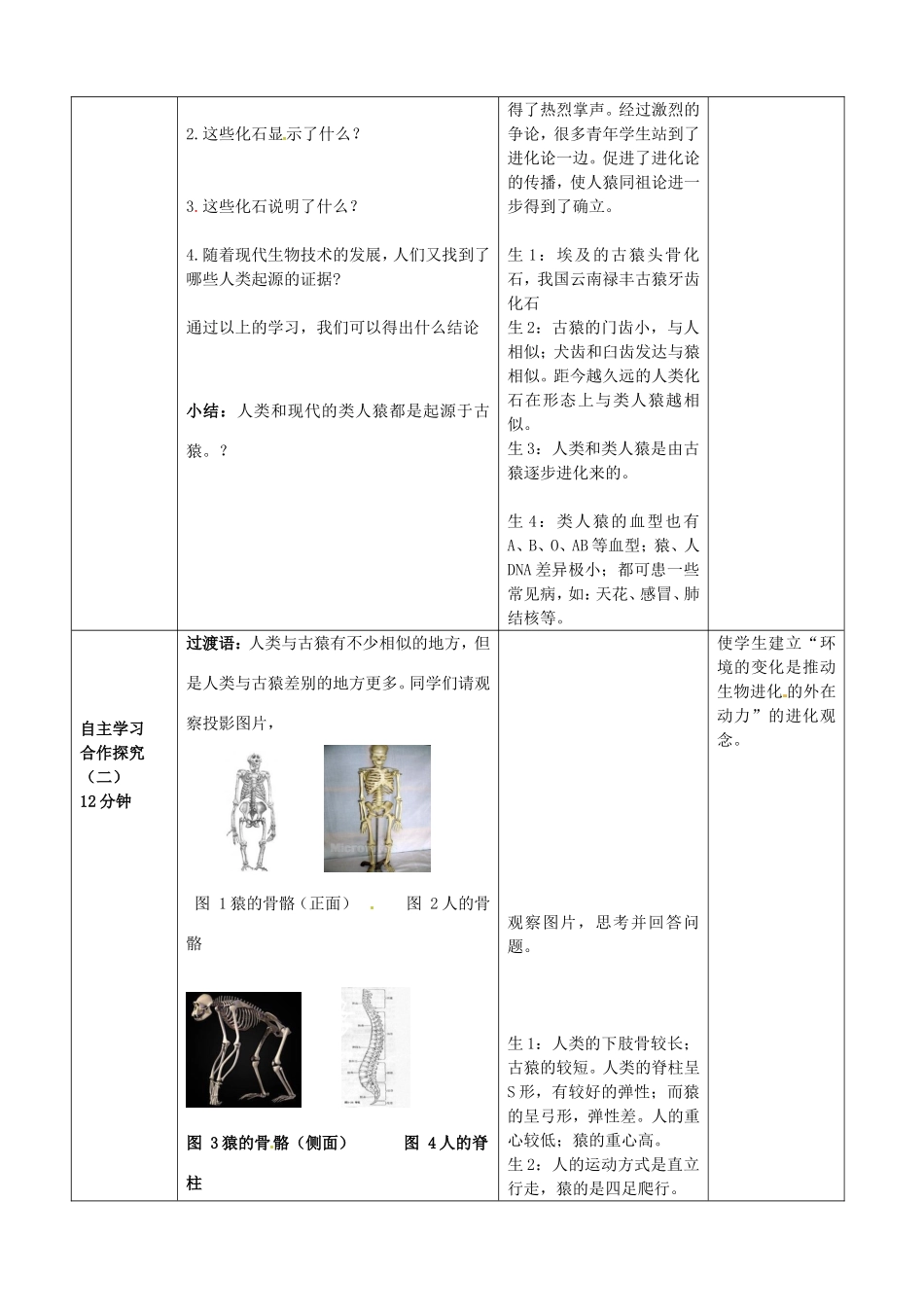 广西柳州市第十二中学七年级生物下册 人类的起源教案2 新人教版_第3页