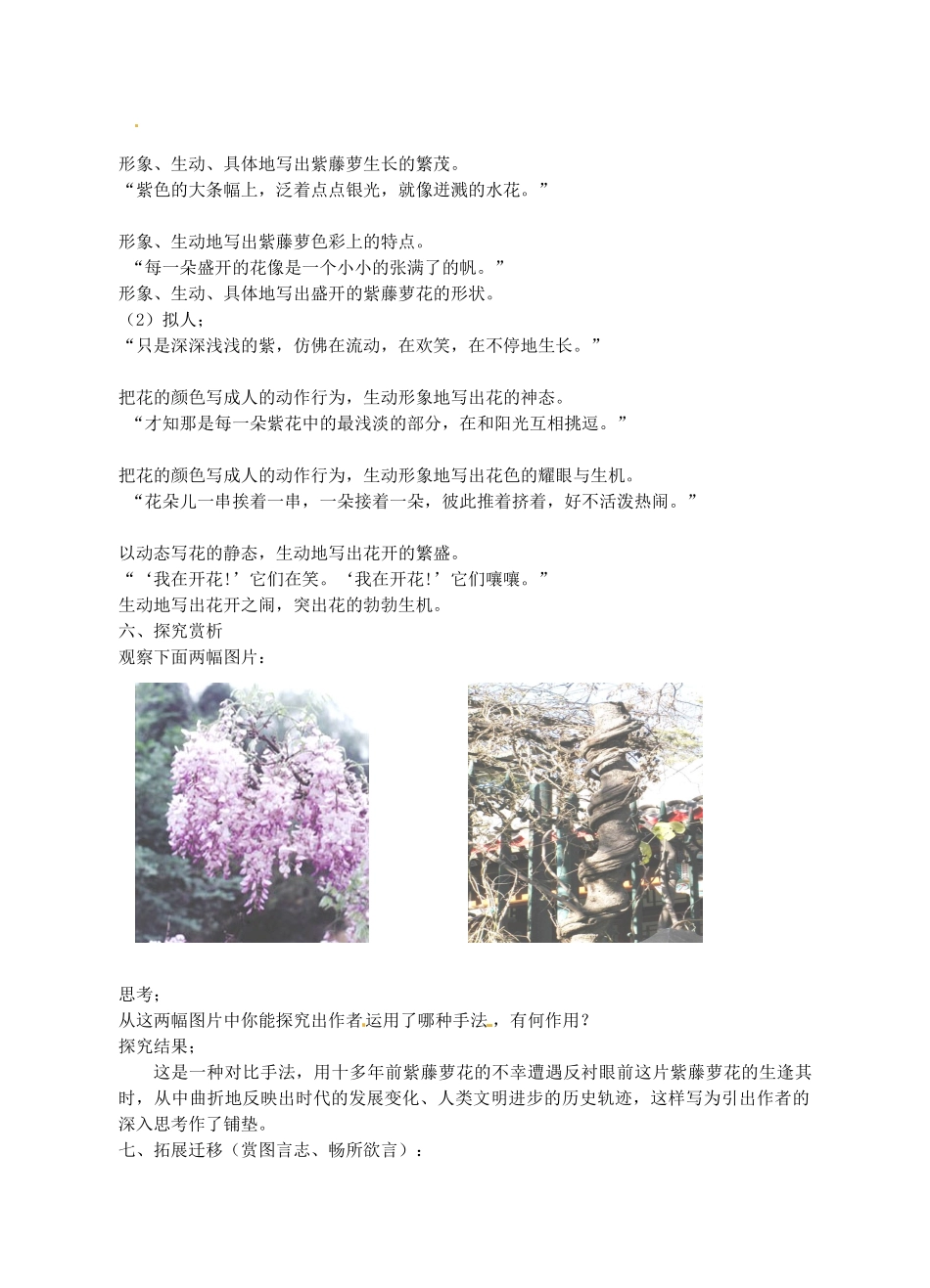 山东省临沭县七年级语文上册《紫藤萝瀑布》教案_第3页