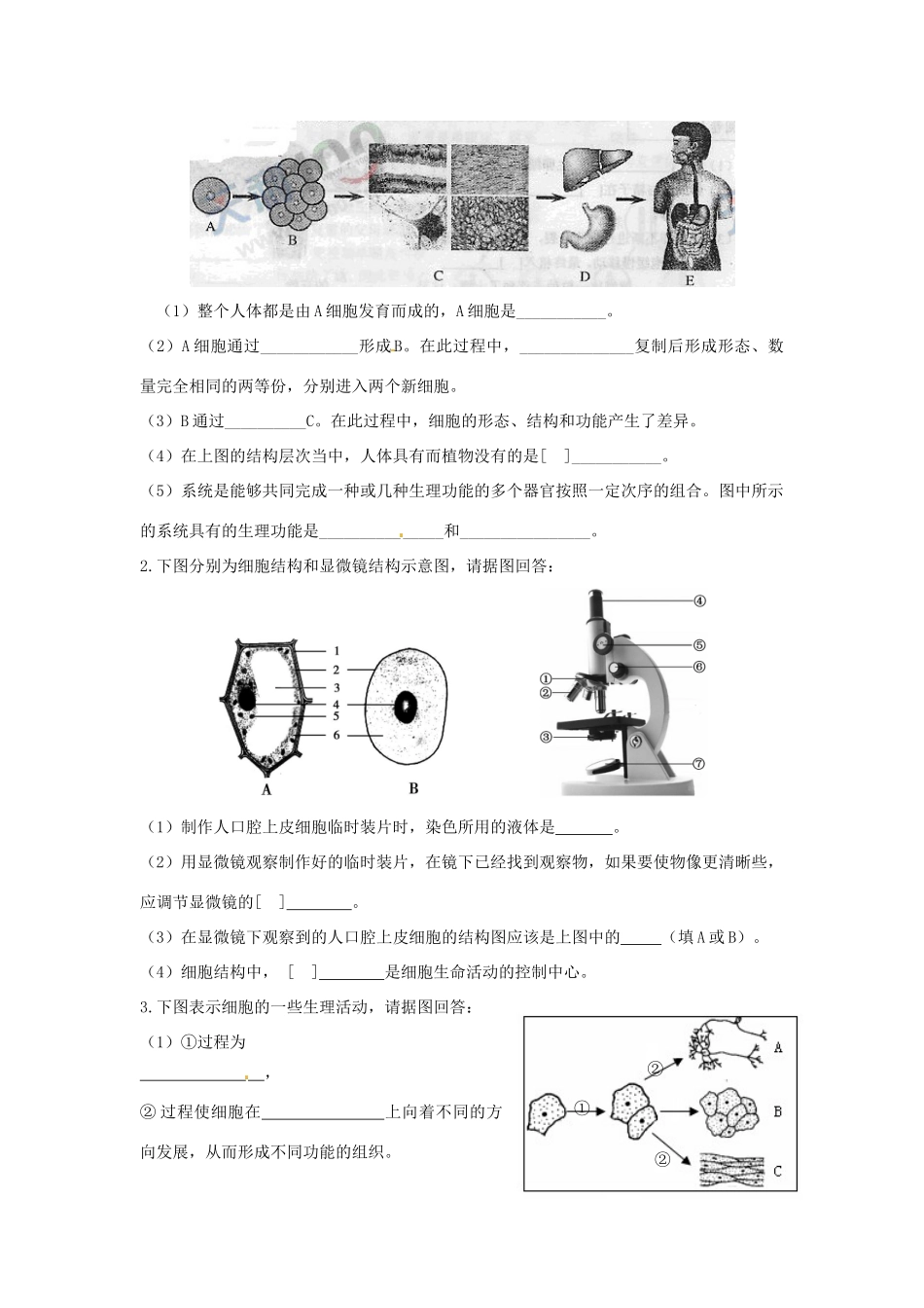 第7章 生物体有相同的基本结构  单元测试_第3页