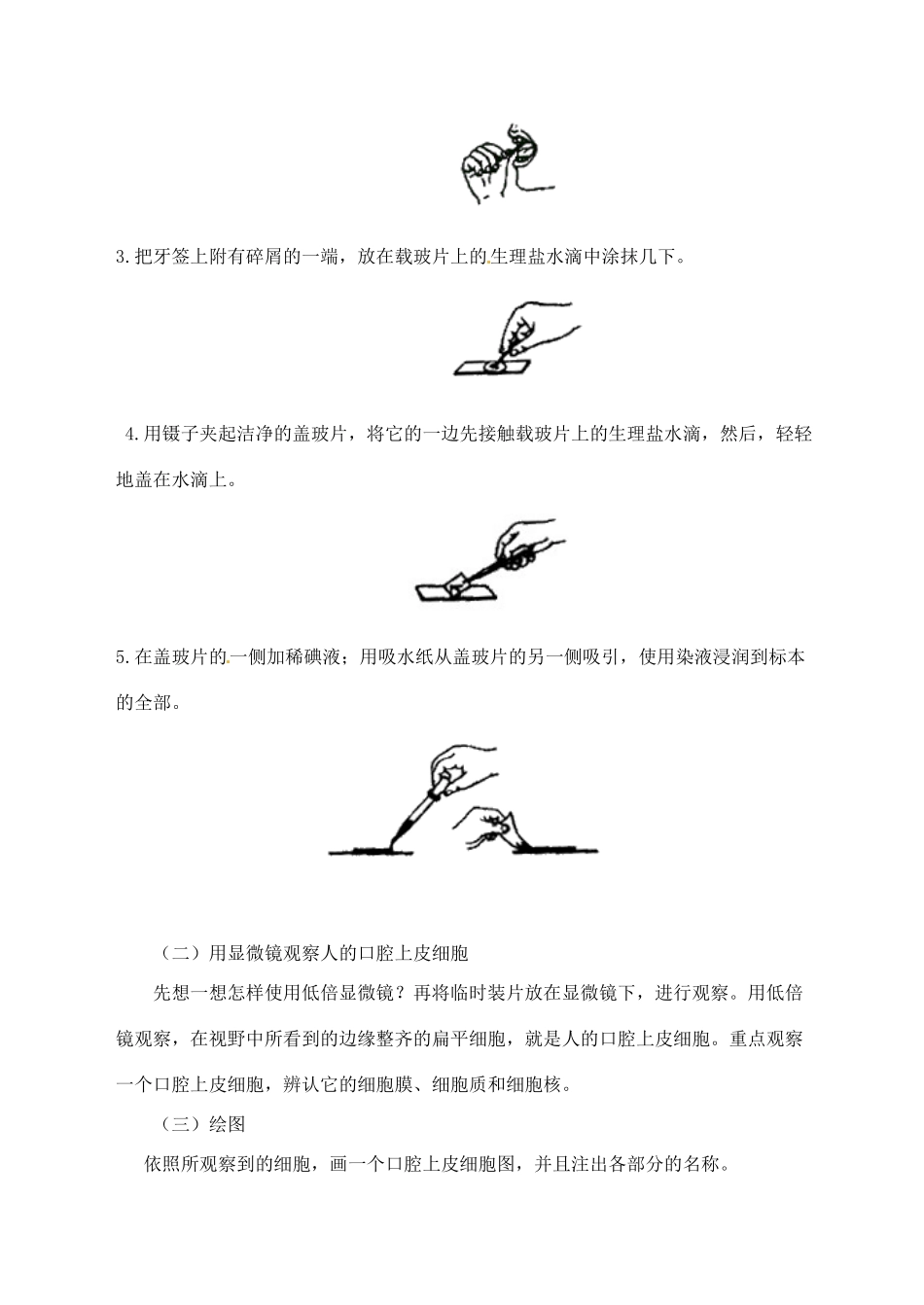 甘肃省白银市会宁县新添回民中学七年级生物上册《人和动物细胞的结构和功能》教案1_第2页