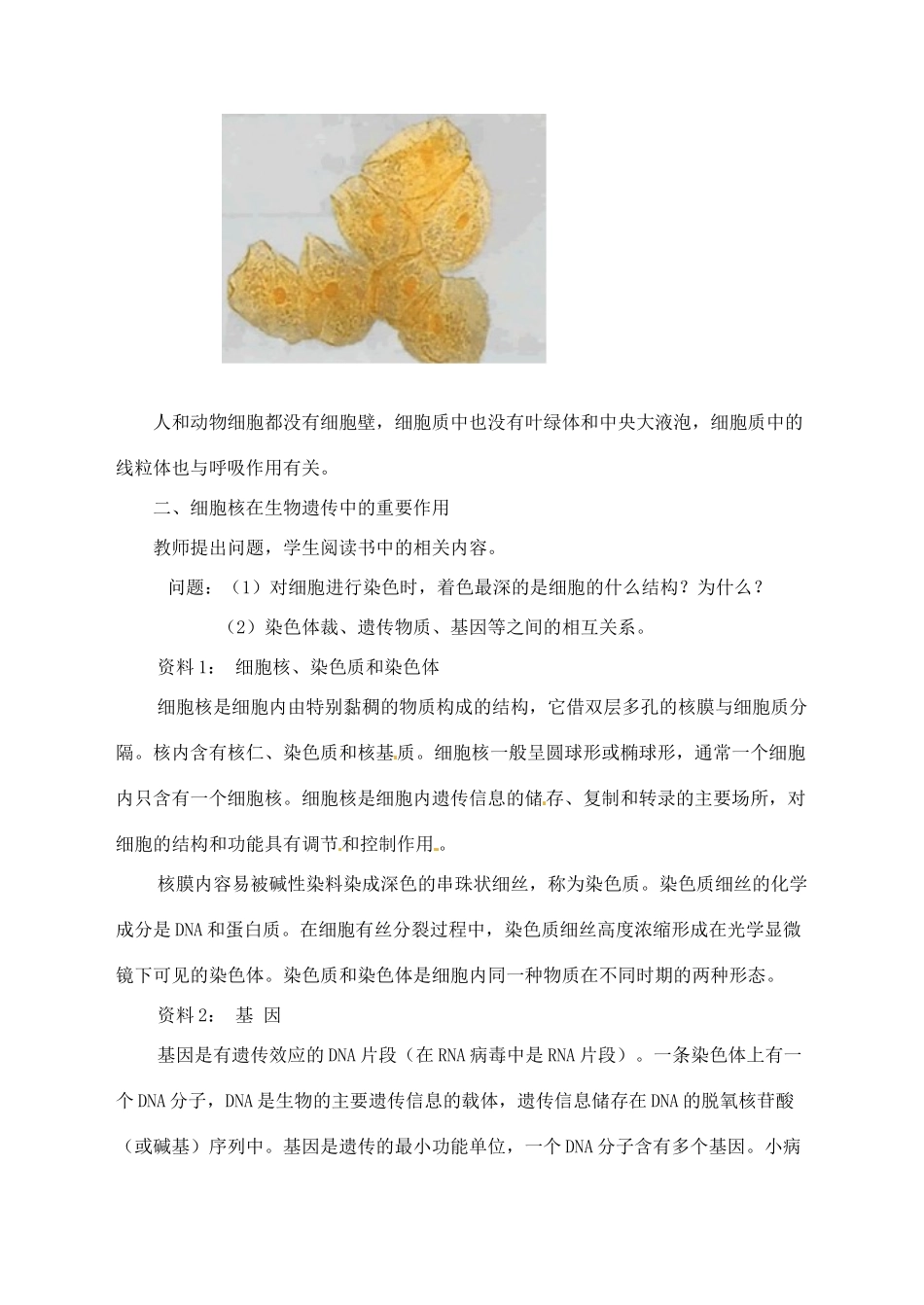 甘肃省白银市会宁县新添回民中学七年级生物上册《人和动物细胞的结构和功能》教案1_第3页