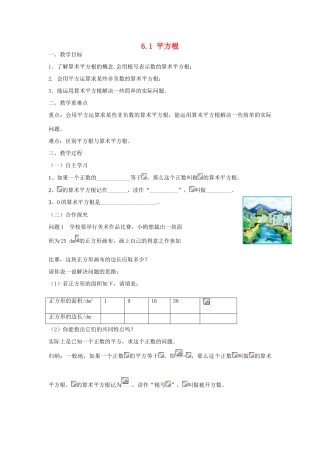 广东省陆丰市内湖中学七年级数学下册《6.1 平方根》教案 （新版）新人教版
