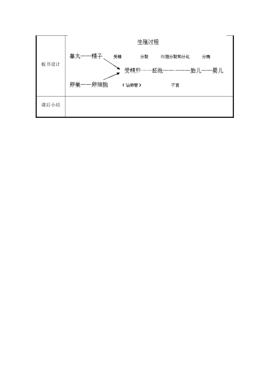 北京市和平北路学校七年级生物下册《4.1.2 人的生殖（第2课时）》教案 新人教版_第3页