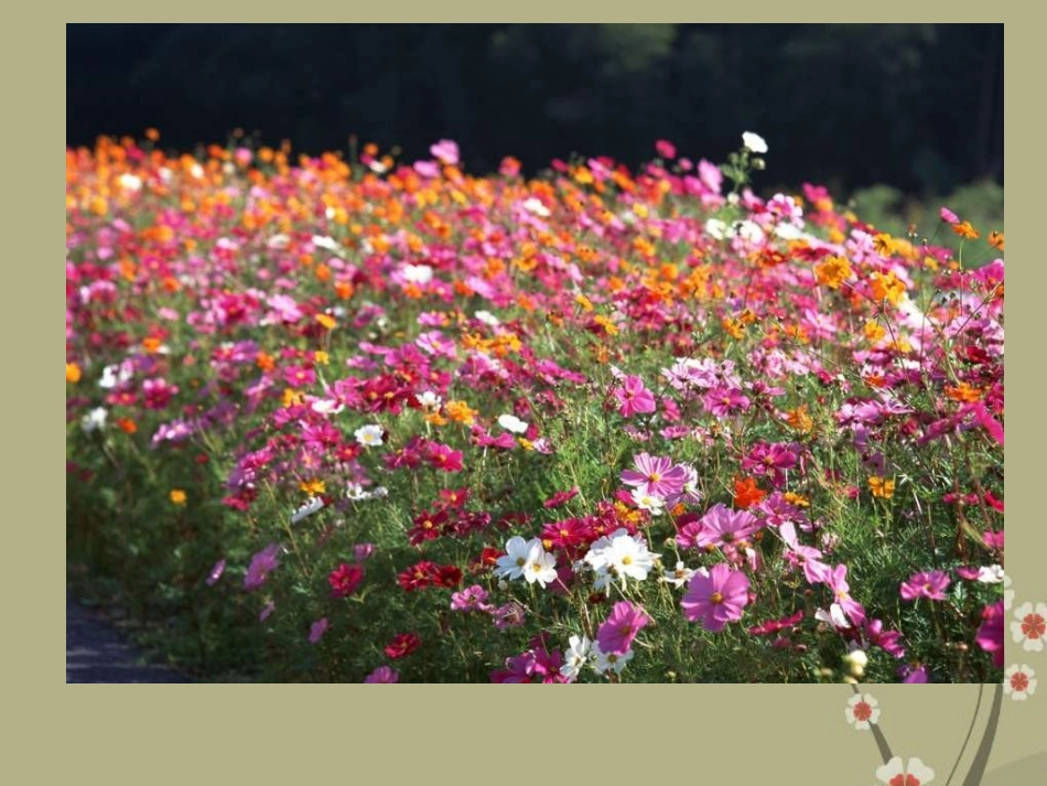 甘肃省会宁县新添回民中学八年级生物下册《生态系统的组成》课件1 苏教版_第2页