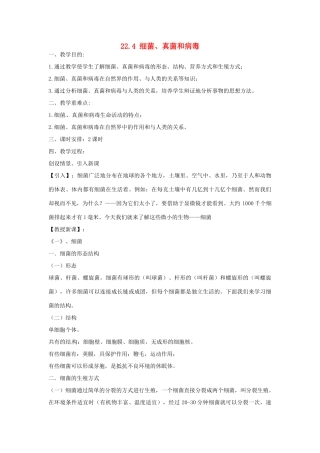 广东省韶关市翁源县龙仙中学八年级生物下册 22.4 细菌、真菌和病毒教案 北师大版