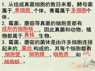 福建省长泰县第二中学八年级生物上册 5.4 细菌和真菌在自然界中的作用课件 （新版）新人教版