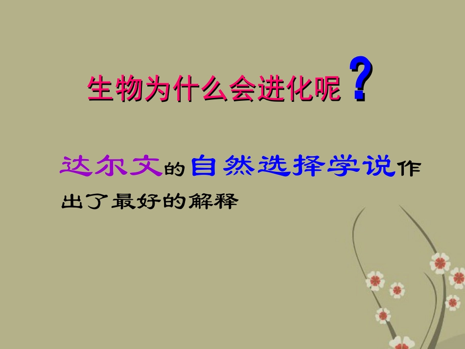 甘肃省会宁县新添回民中学八年级生物下册《生物进化学说》课件3 苏教版_第3页