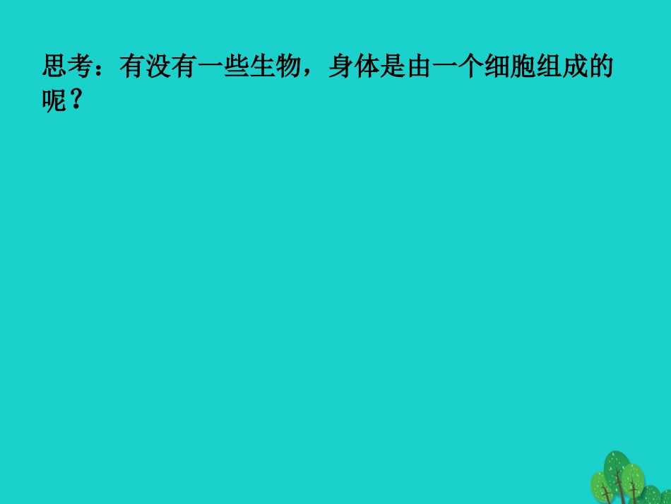 广东省东莞市南城阳光实验中学七年级生物上册 第二单元 第二章 第四节 单细胞生物——观察单细胞生物实验课件 （新版）新人教版_第1页