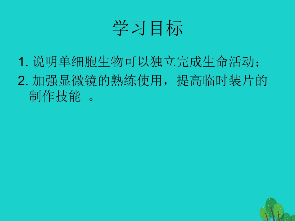 广东省东莞市南城阳光实验中学七年级生物上册 第二单元 第二章 第四节 单细胞生物——观察单细胞生物实验课件 （新版）新人教版_第3页