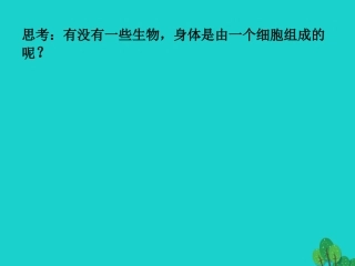广东省东莞市南城阳光实验中学七年级生物上册 第二单元 第二章 第四节 单细胞生物——观察单细胞生物实验课件 （新版）新人教版
