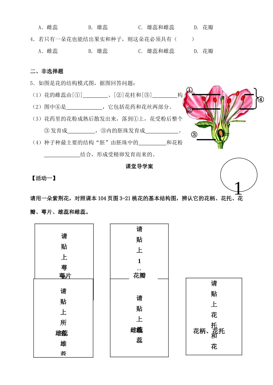 广东省东莞市东莞南城中学七年级生物上册 第三单元 第二章 第三节 开花和结果学案（无答案）（新版）新人教版_第3页