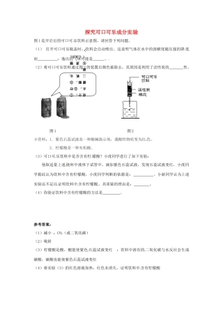 中考化学热点小题 探究可口可乐成分实验