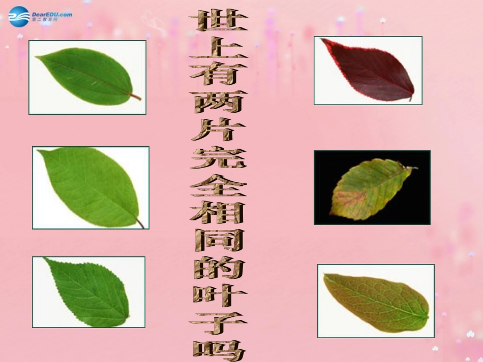 七年级政治上册 2.3 珍爱生命课件 新人教版_第2页