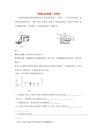 中考化学热点小题 “便携式制氧器”的探究