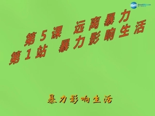 八年级政治下册 第5课 第1站 暴力影响生活课件 北师大版