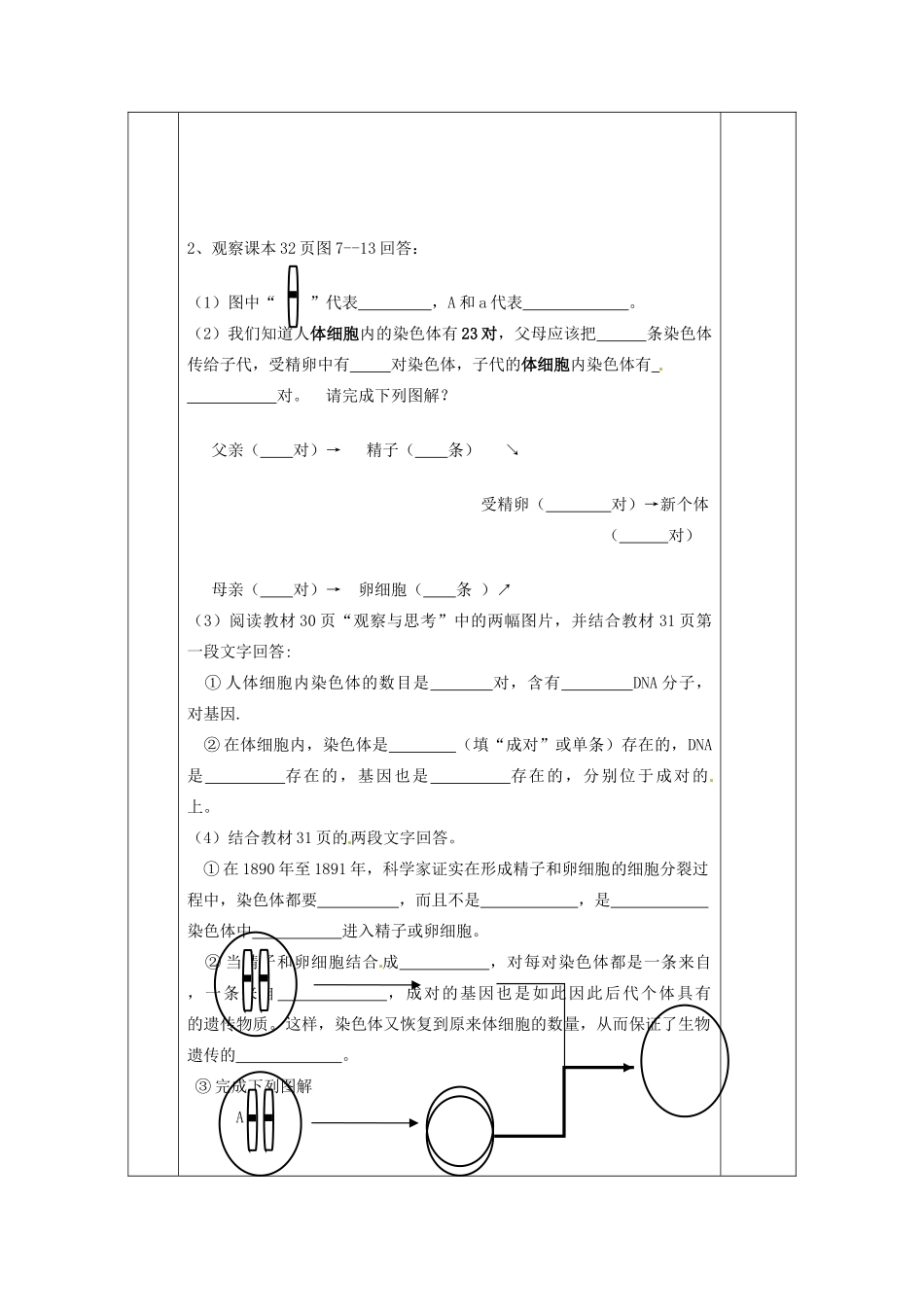 甘肃省庆阳市宁县第五中学八年级生物下册《第七单元 第二章 第二节 基因在亲子代间的传递》导学案（无答案） 新人教版_第2页