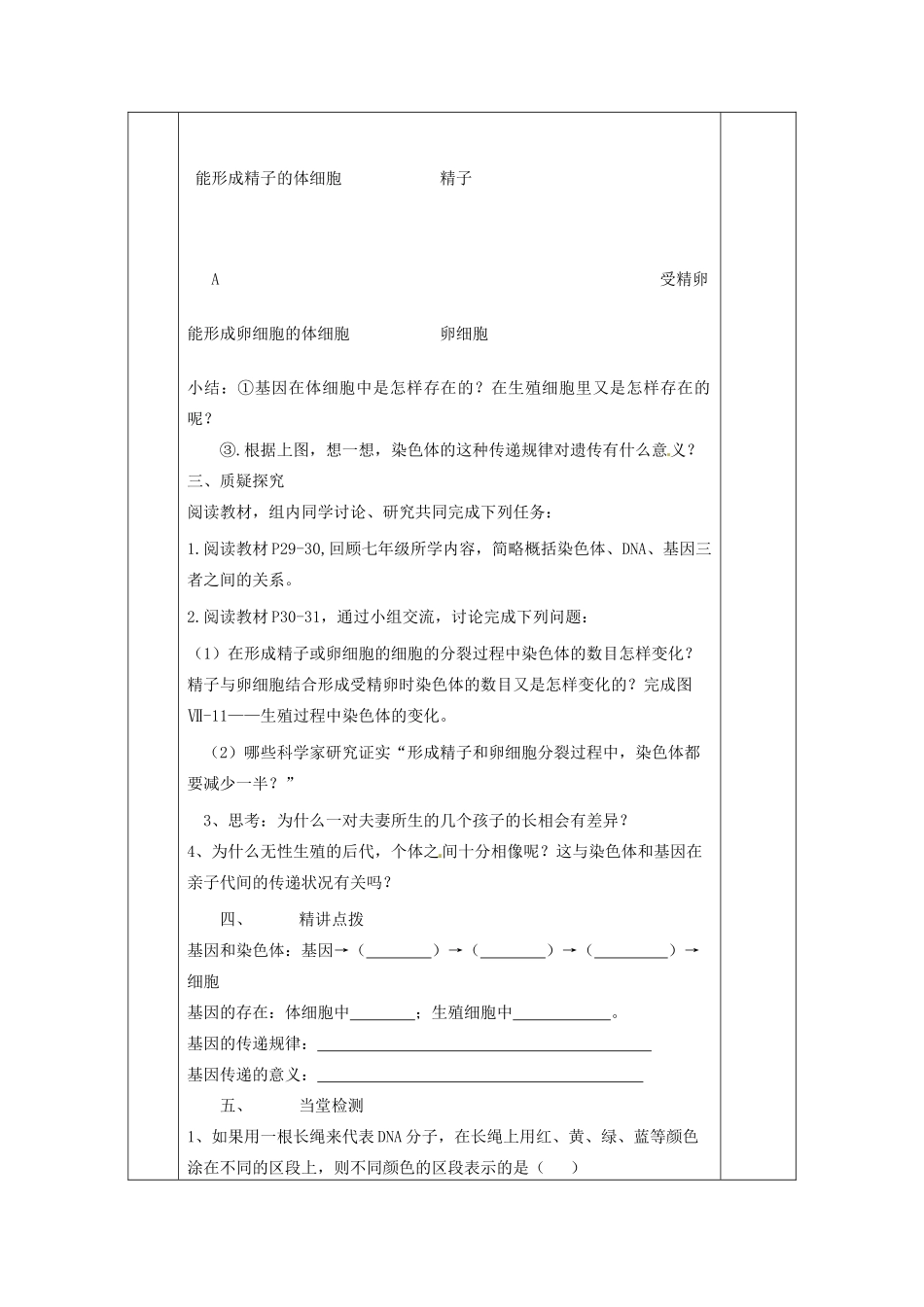 甘肃省庆阳市宁县第五中学八年级生物下册《第七单元 第二章 第二节 基因在亲子代间的传递》导学案（无答案） 新人教版_第3页