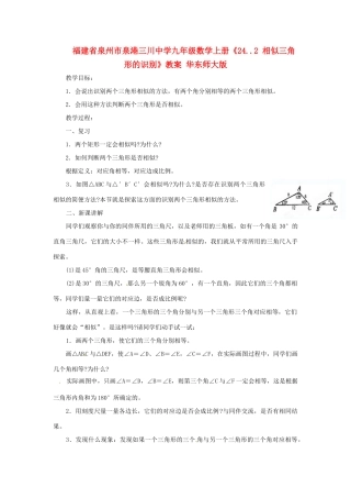 福建省泉州市泉港三川中学九年级数学上册《24..2 相似三角形的识别》教案 华东师大版