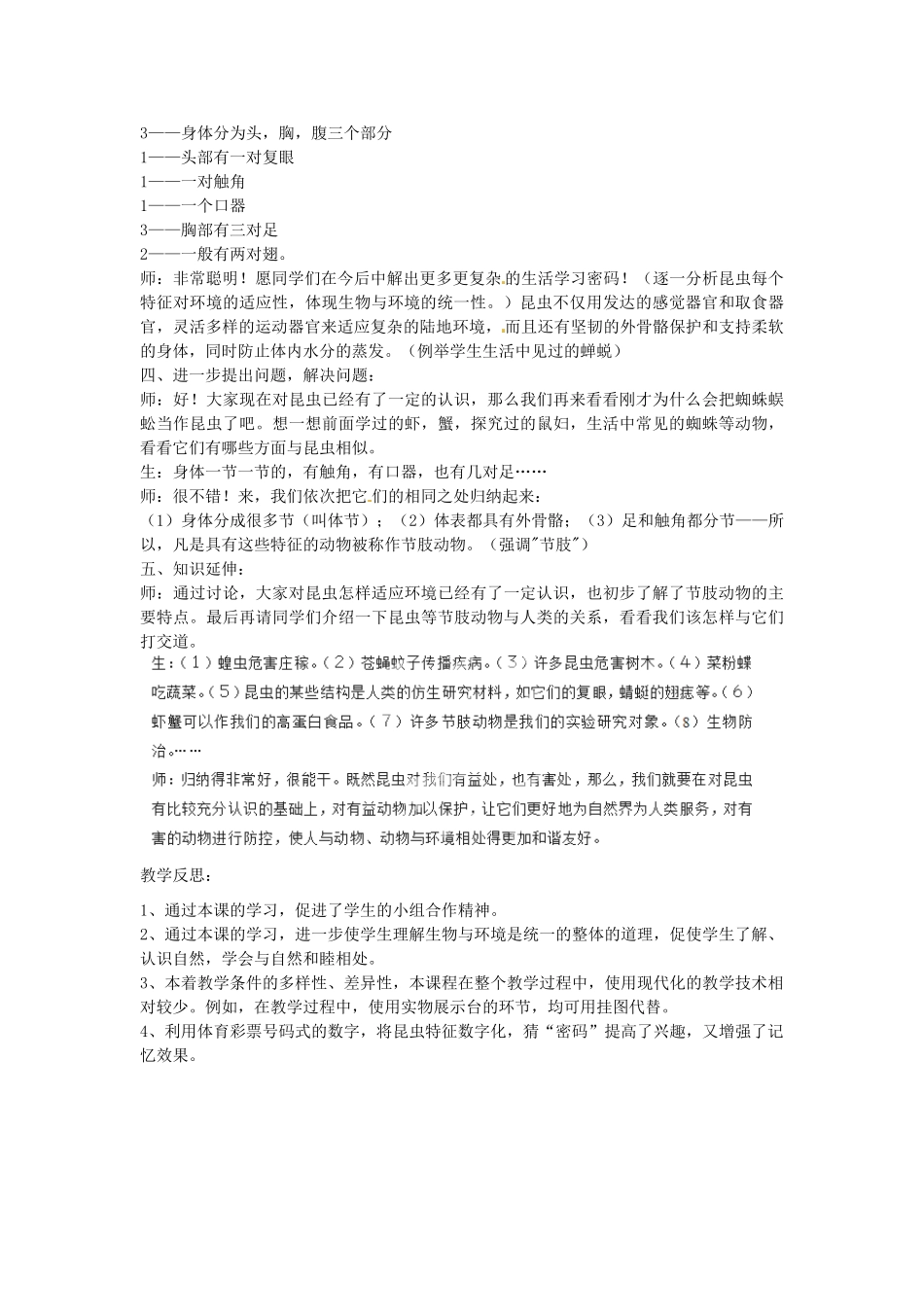 福建省厦门市集美区灌口中学八年级生物上册 第五单元 第一章 第三节 空中飞行的动物-昆虫教学设计 新人教版_第3页