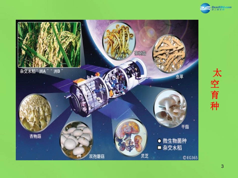 山东省临沂市蒙阴县第四中学九年级政治全册 第七课 时代的选择课件 鲁教版_第3页