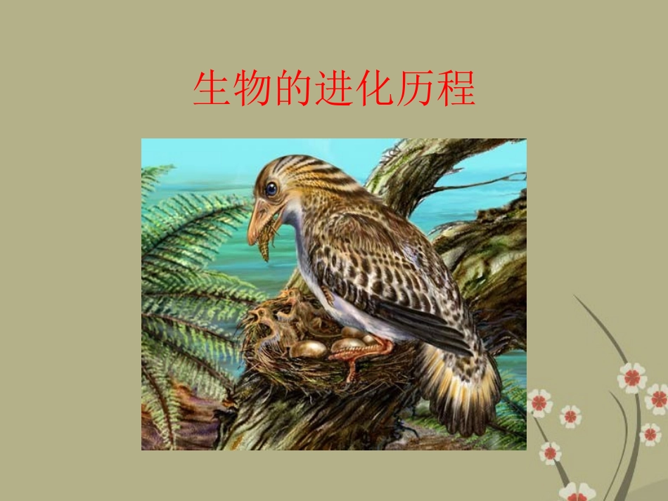甘肃省会宁县新添回民中学八年级生物下册《生物进化的历程》课件2 苏教版_第1页