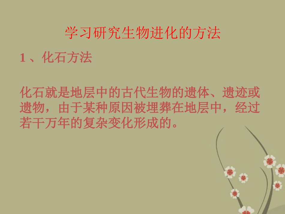 甘肃省会宁县新添回民中学八年级生物下册《生物进化的历程》课件2 苏教版_第2页
