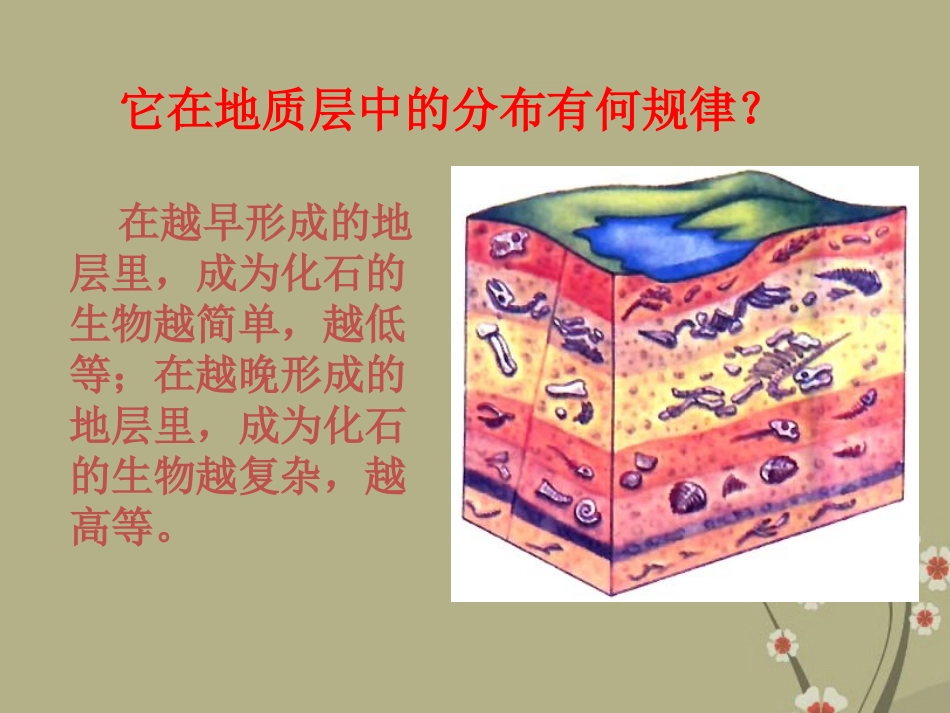 甘肃省会宁县新添回民中学八年级生物下册《生物进化的历程》课件2 苏教版_第3页