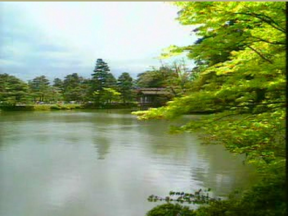 甘肃省会宁县新添回民中学八年级生物下册《生态系统的组成》课件2 苏教版_第2页