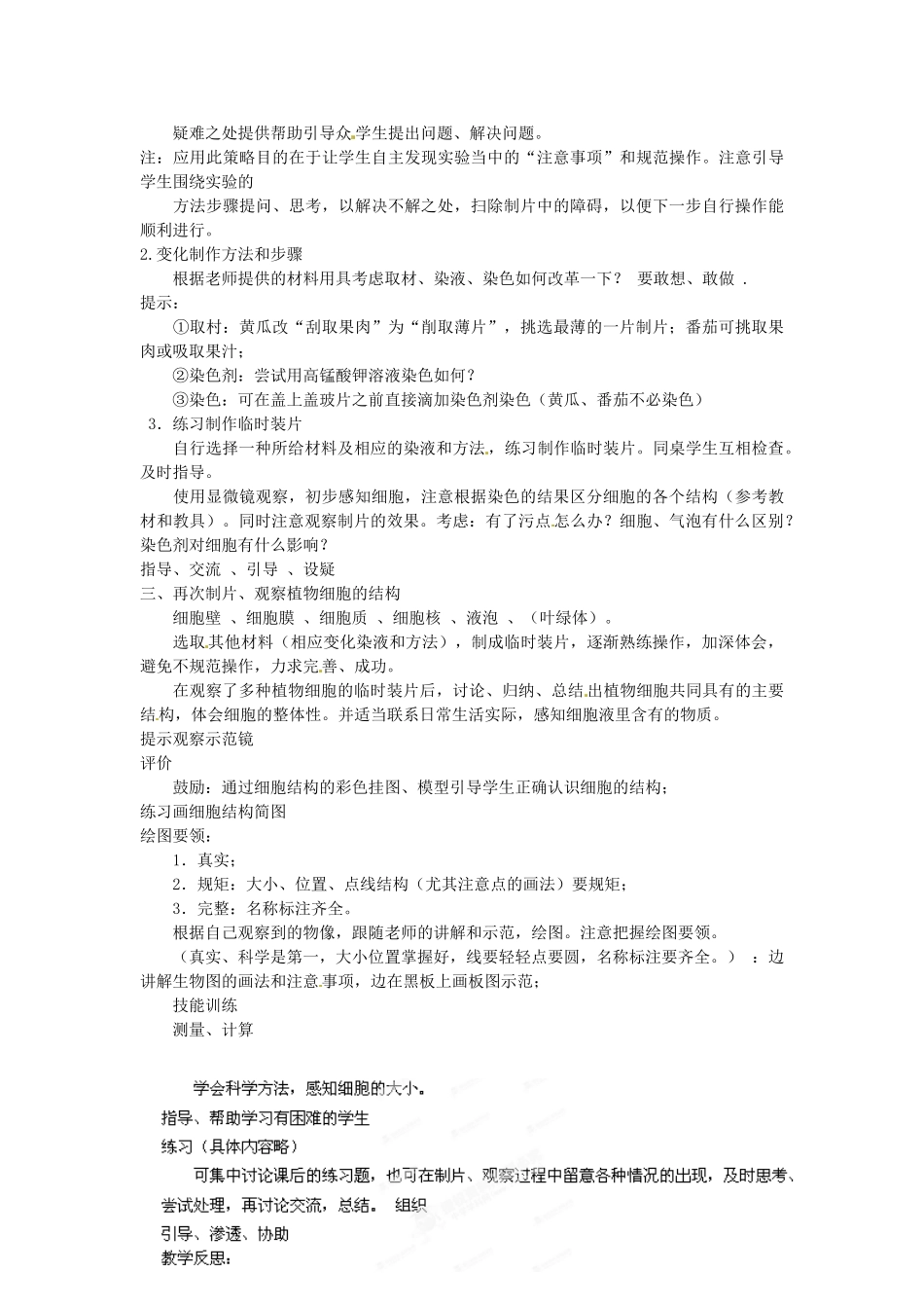 广西柳州市第十四中学七年级生物上册《观察植物细胞》教案 新人教版_第2页