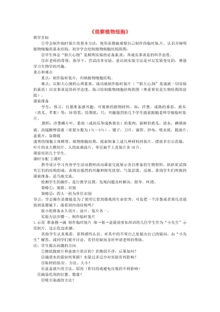 广西柳州市第十四中学七年级生物上册《观察植物细胞》教案 新人教版