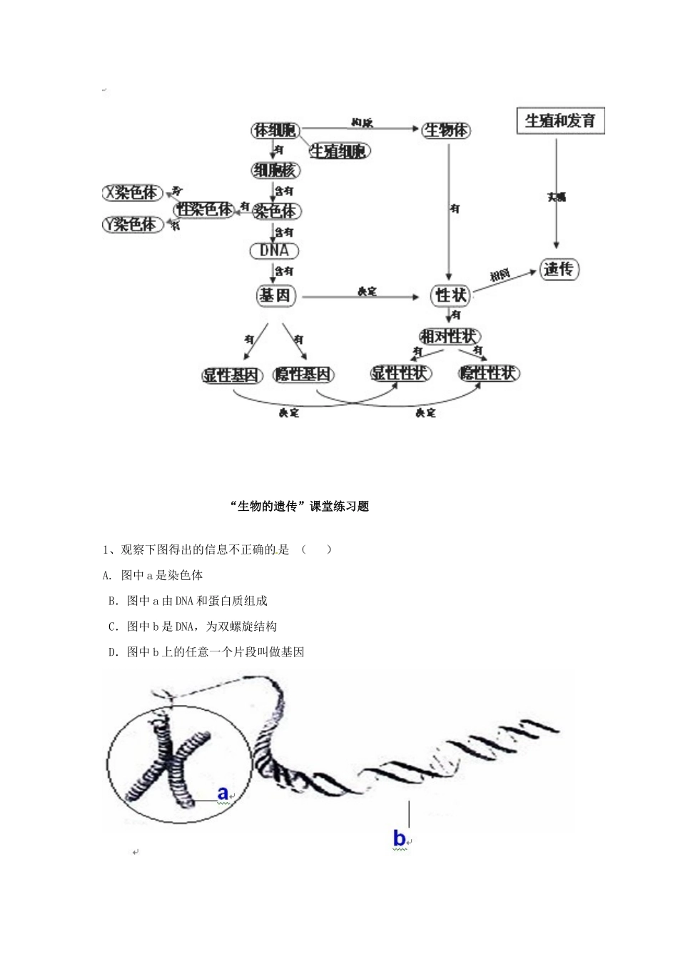 北京市大兴七中八年级生物上册《第四单元 第四章 生物的遗传和变异》教案 新人教版_第3页