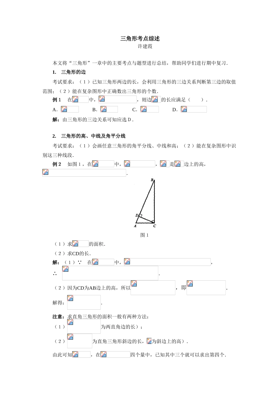 初中数学三角形考点综述_第1页