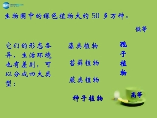 甘肃省嘉峪关市第六中学七年级生物上册 第三单元 第二节 种子植物公开课课件 （新版）新人教版