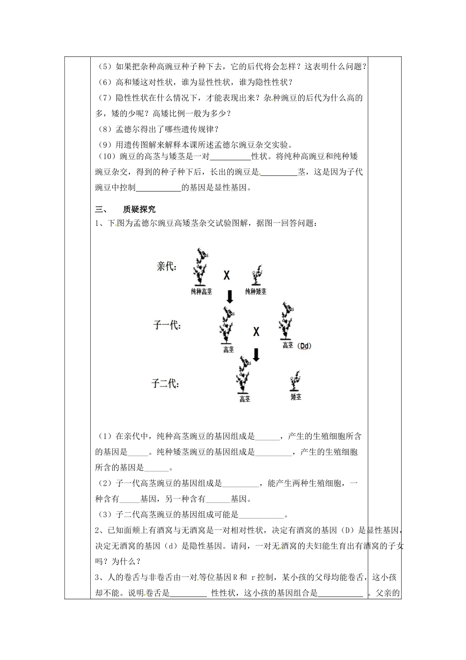 甘肃省庆阳市宁县第五中学八年级生物下册《第七单元 第二章 第三节 基因的显性和隐性》导学案1（无答案） 新人教版_第2页