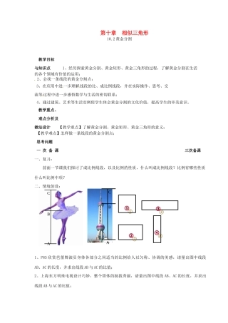八年级数学下册 10.2 黄金分割教案 苏科版