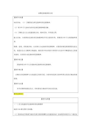 九年级政治全册 第3单元 关注国家的发展 第九课 弘扬和培育民族精神 第2框 高擎民族精神的火炬教案 鲁教版-鲁教版初中九年级全册政治教案