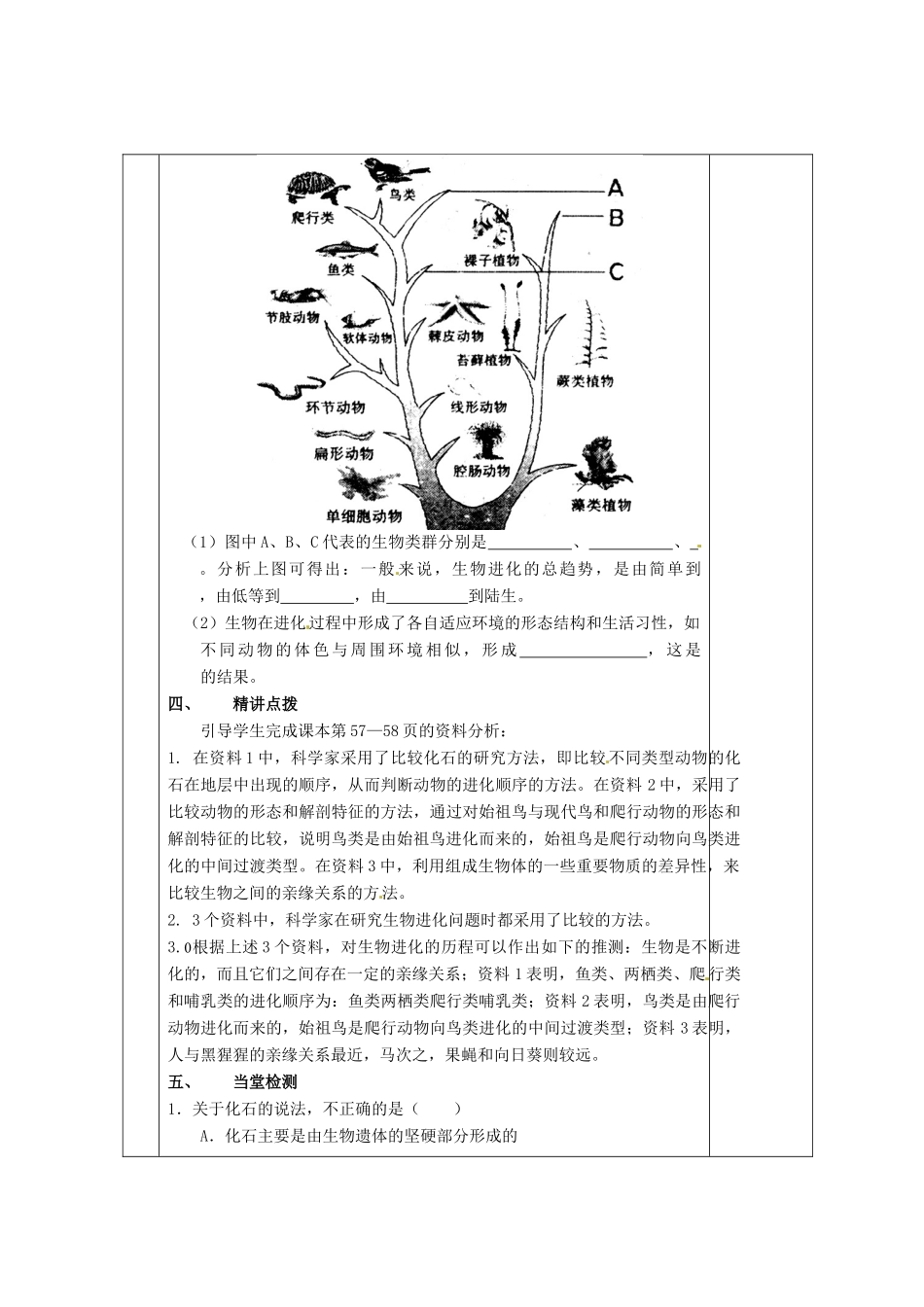 甘肃省庆阳市宁县第五中学八年级生物下册《第七单元 第三章 第二节 生物进化的历程》导学案（无答案） 新人教版_第3页