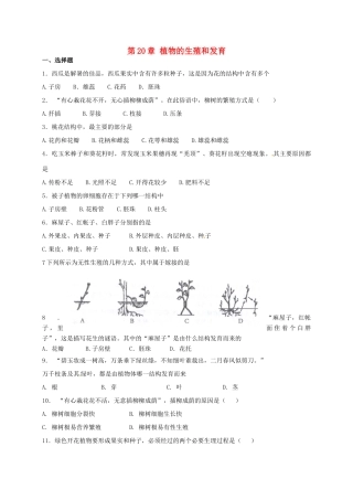 第20章 植物的生殖和发育 单元测试
