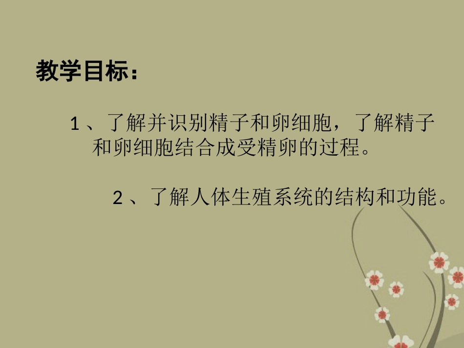 甘肃省会宁县新添回民中学八年级生物下册《生命的诞生》课件1 苏教版_第2页