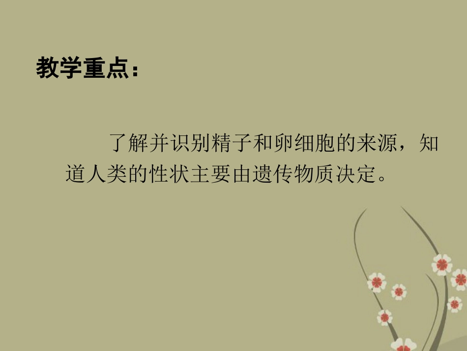 甘肃省会宁县新添回民中学八年级生物下册《生命的诞生》课件1 苏教版_第3页