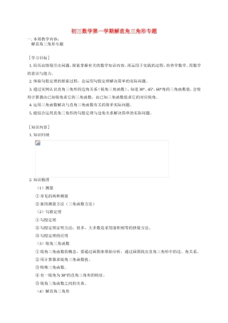 初三数学第一学期解直角三角形专题 华东师大版