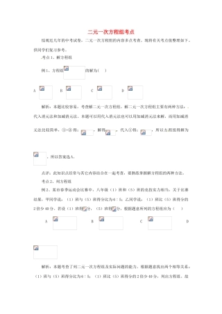 河北省石家庄市第三十一中学八年级数学下册《二元一次方程组》考点 新人教版
