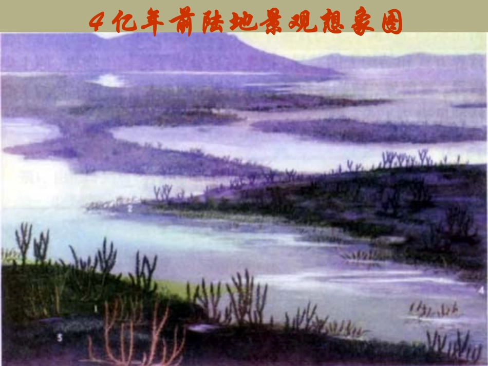 甘肃省会宁县新添回民中学八年级生物下册《生物进化学说》课件2 苏教版_第2页