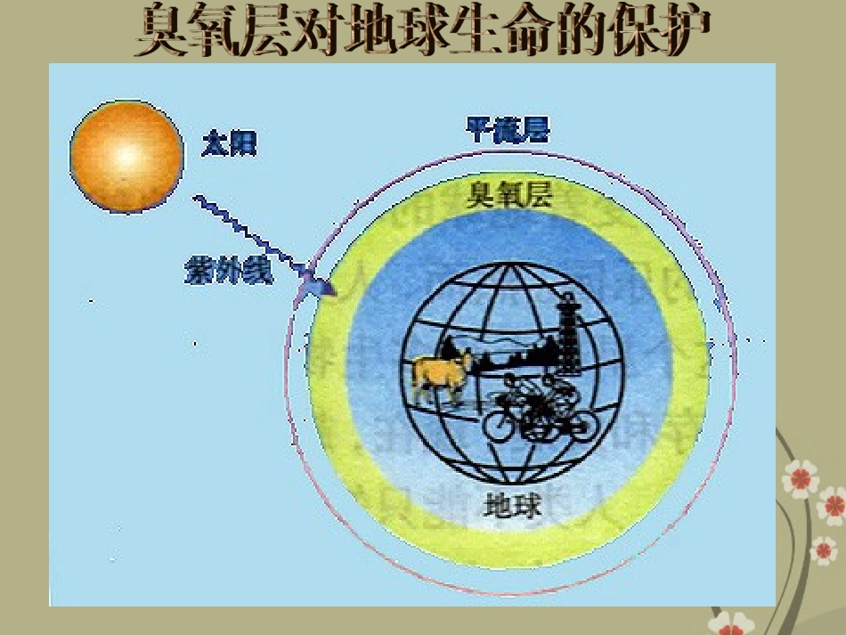 甘肃省会宁县新添回民中学八年级生物下册《生物进化学说》课件2 苏教版_第3页