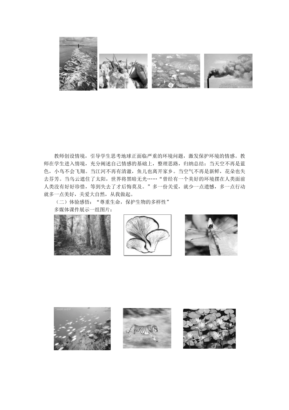 八年级政治 关爱大自然 从我做起教案 鲁教版_第2页