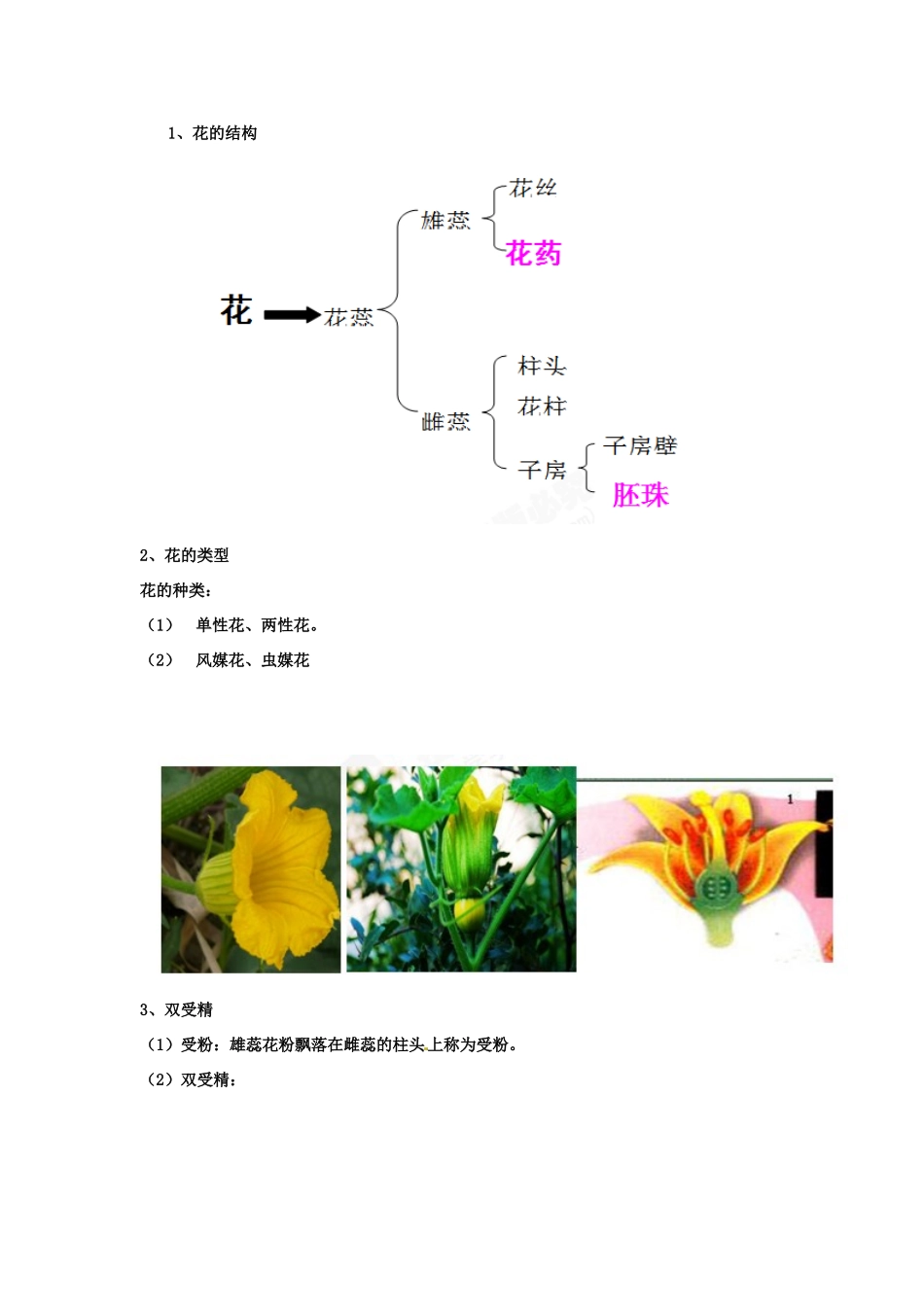 贵州省江口县民族中学七年级生物下册《有性生殖》教案_第2页