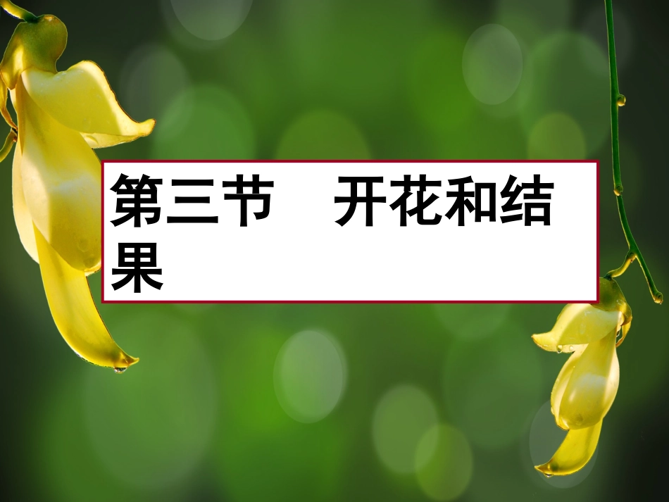 广东省东莞市东莞南城中学七年级生物上册 第三单元 第二章 第三节 开花和结果课件 （新版）新人教版_第1页
