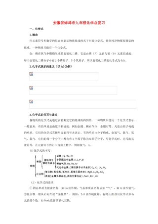 安徽省蚌埠市九年级化学总复习教案