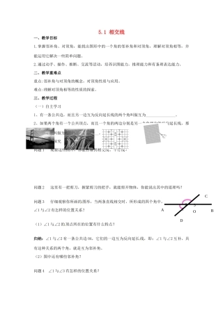 广东省陆丰市内湖中学七年级数学下册《5.1 相交线》教案 （新版）新人教版